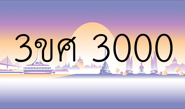 3ขศ 3000